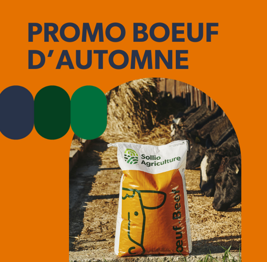 Promotions et concours